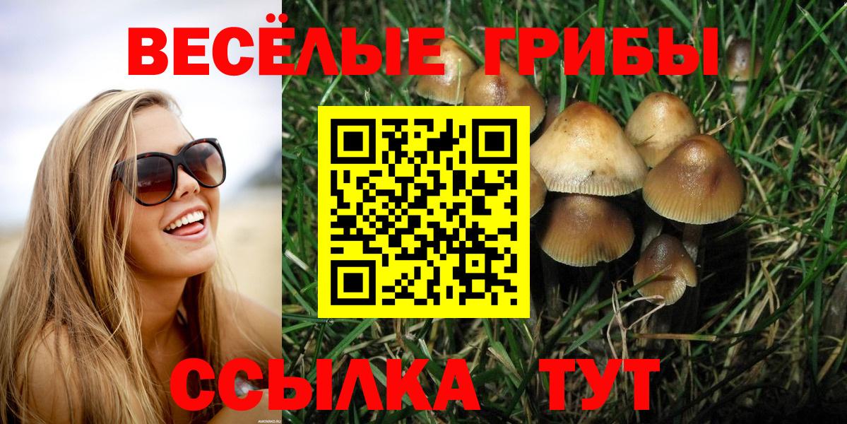 Лесной  Псилоцибиновые грибы мицелий  Вход с VPN 