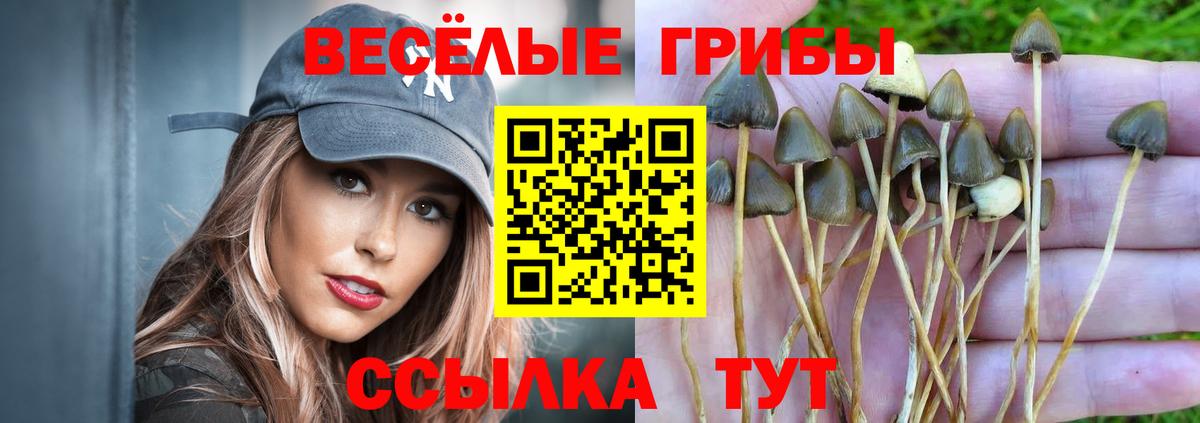 Галлюциногенные грибы MAGIC MUSHROOMS Лесной